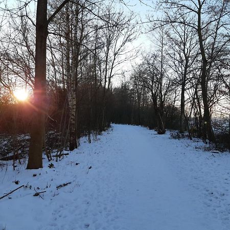 Vakantiehuis Aan Het Bos - Gelegen Aan De Tulpenroute Bant Esterno foto