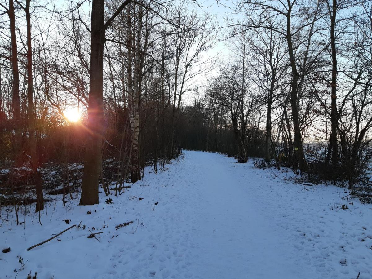 Vakantiehuis Aan Het Bos - Gelegen Aan De Tulpenroute Bant Esterno foto