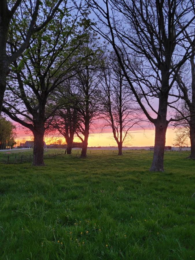 Vakantiehuis Aan Het Bos - Gelegen Aan De Tulpenroute Bant Esterno foto