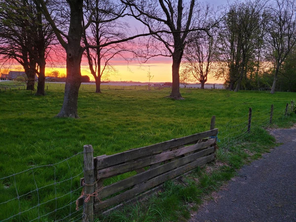 Vakantiehuis Aan Het Bos - Gelegen Aan De Tulpenroute Bant Esterno foto